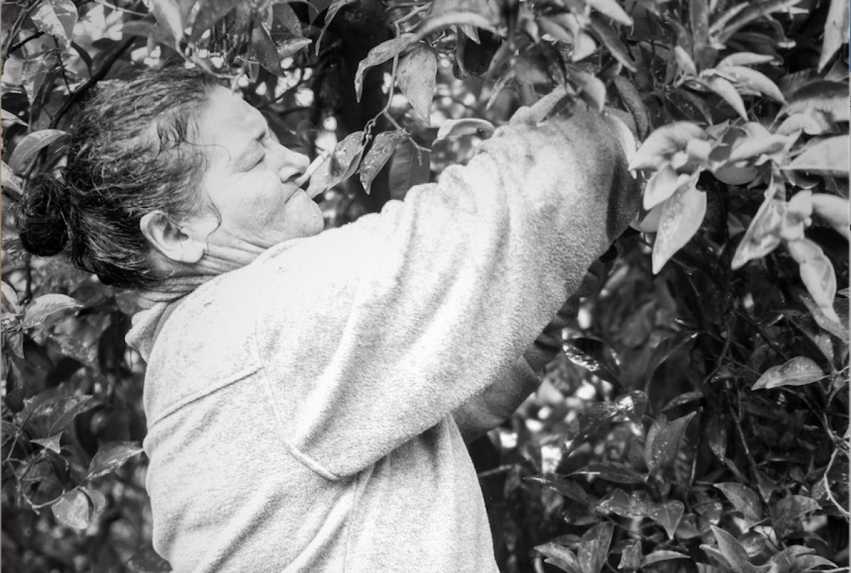 Mujer trabajando en la naranja. Foto de Patri Garca